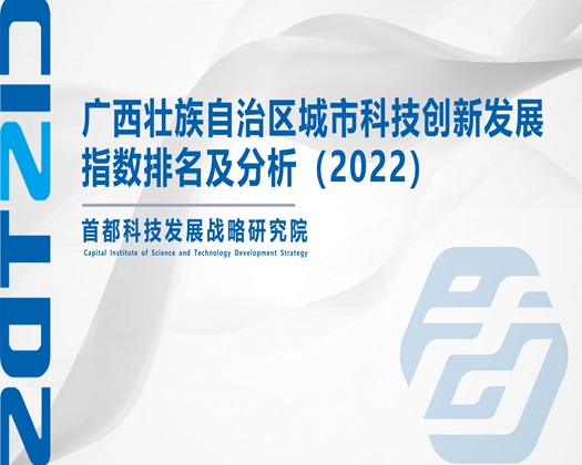 一逼插两吊【成果发布】广西壮族自治区城市科技创新发展指数排名及分析（2022）